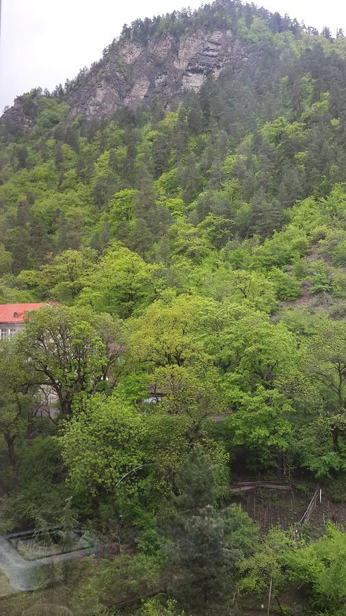 Hotel Mariko Borjomi Esterno foto